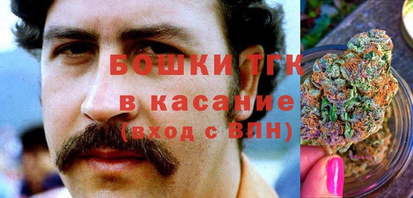 индика Покачи