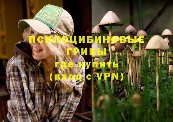 сатива Алзамай