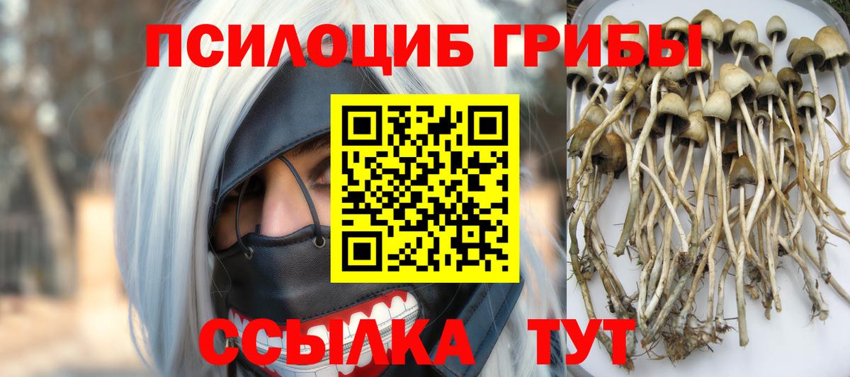 Галлюциногенные грибы MAGIC MUSHROOMS Туймазы