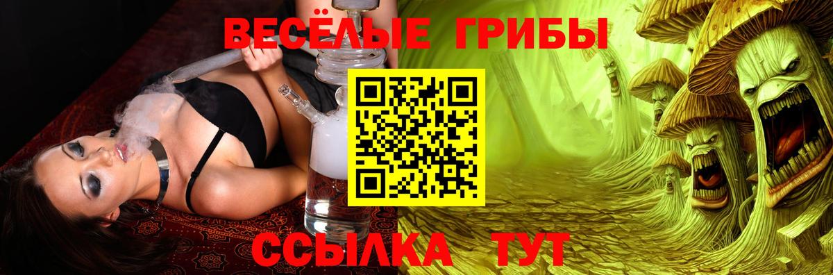 Туймазы  Псилоцибиновые грибы GOLDEN TEACHER  Вход с VPN  Галлюциногенные грибы Psilocybe 
